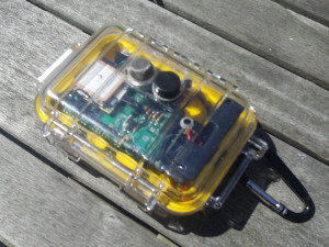 Environmental Sensor